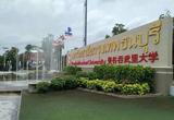 文章附图