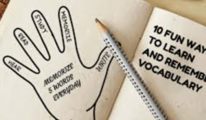 实用背单词工具