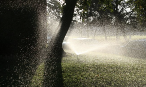 在线英文短故事100字