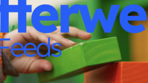 成年人英语速成指南