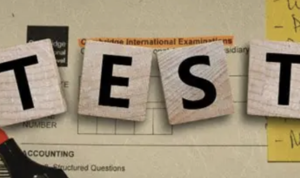 曼彻斯特大学的学术语料库