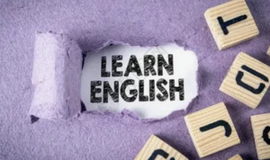 查词句表达的语料